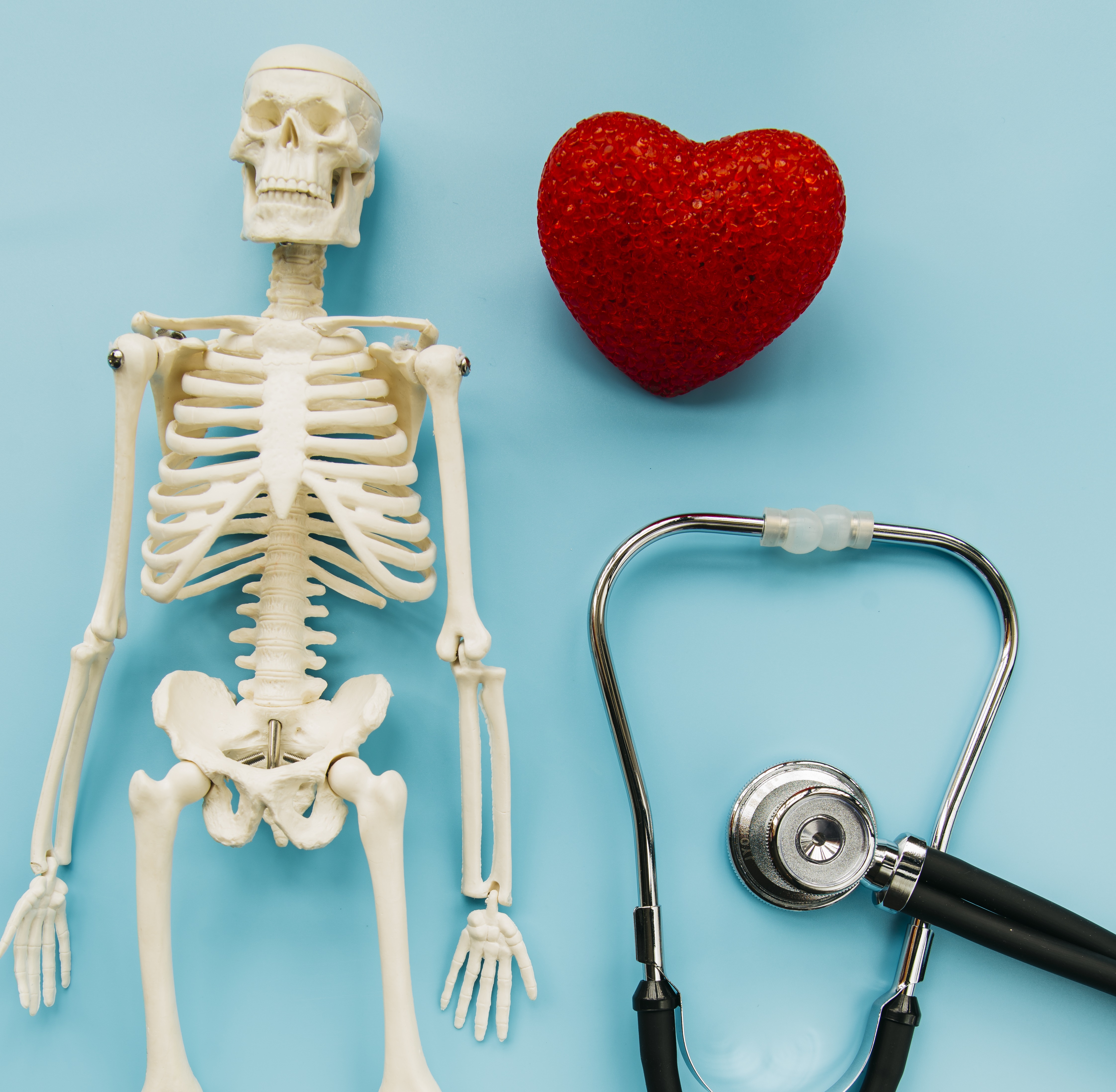 Orthopedics Department